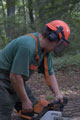 Click to see it big Ich mit Kettensäge, Impression aus dem Wald